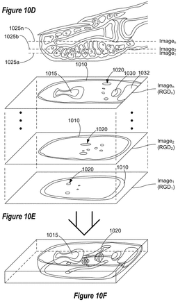 EMI-D00011