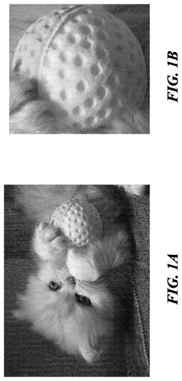 EMI-D00001