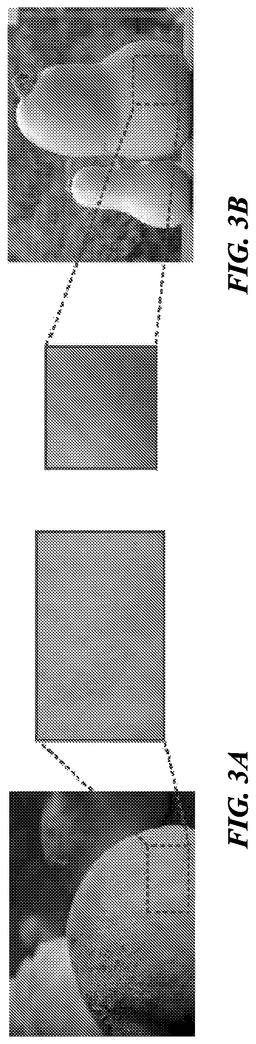EMI-D00003