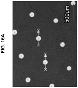 EMI-D00023